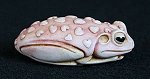 Valentines Frog